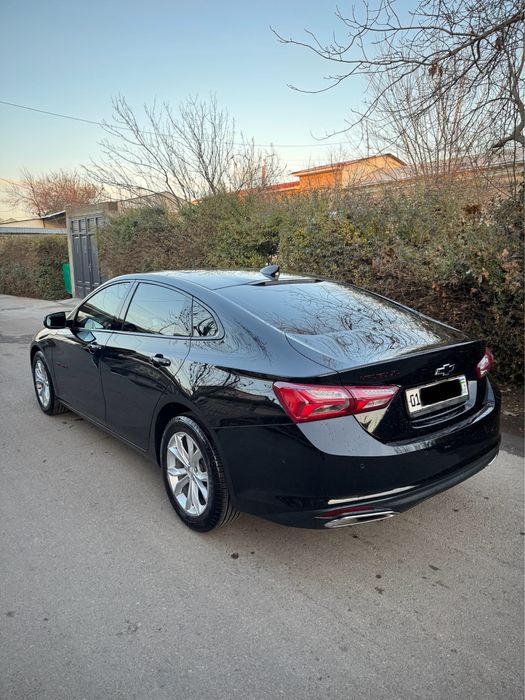 Malibu XL 2023-24 Tozza ideal srochna