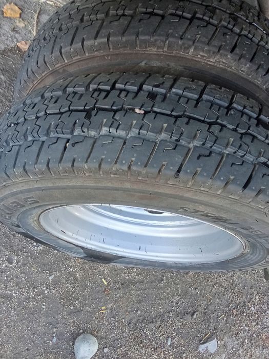 1998 qolgan maʼlumot tilfnda