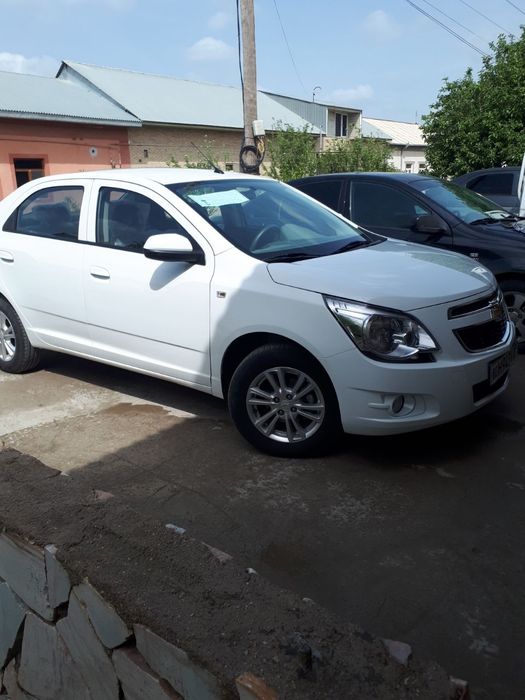 Other Cobalt 2023 — 3