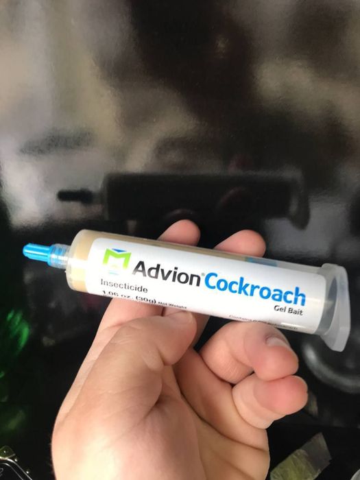 Tarakan dori. Advion Cockroach. Orginali.
