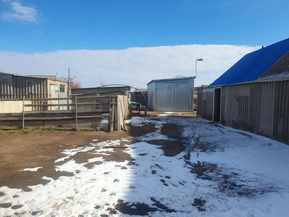 Продам дом  в сельской местности