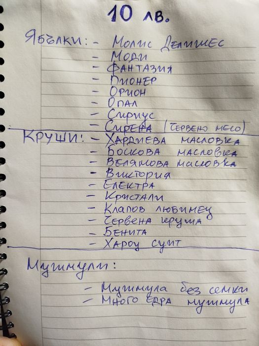 Резници ( калеми )