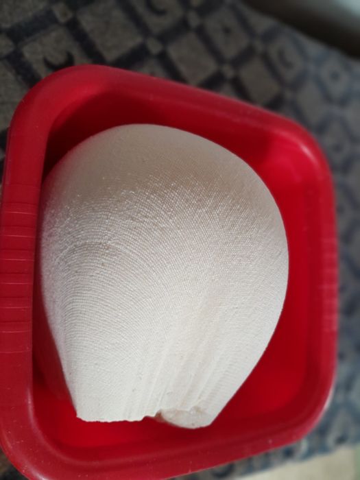 Vând lapte , caș si brânză de capră