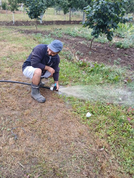 Foraje puțuri apa super oferta constanta