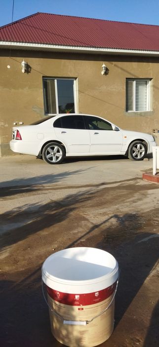 Даево Магнус сатылады