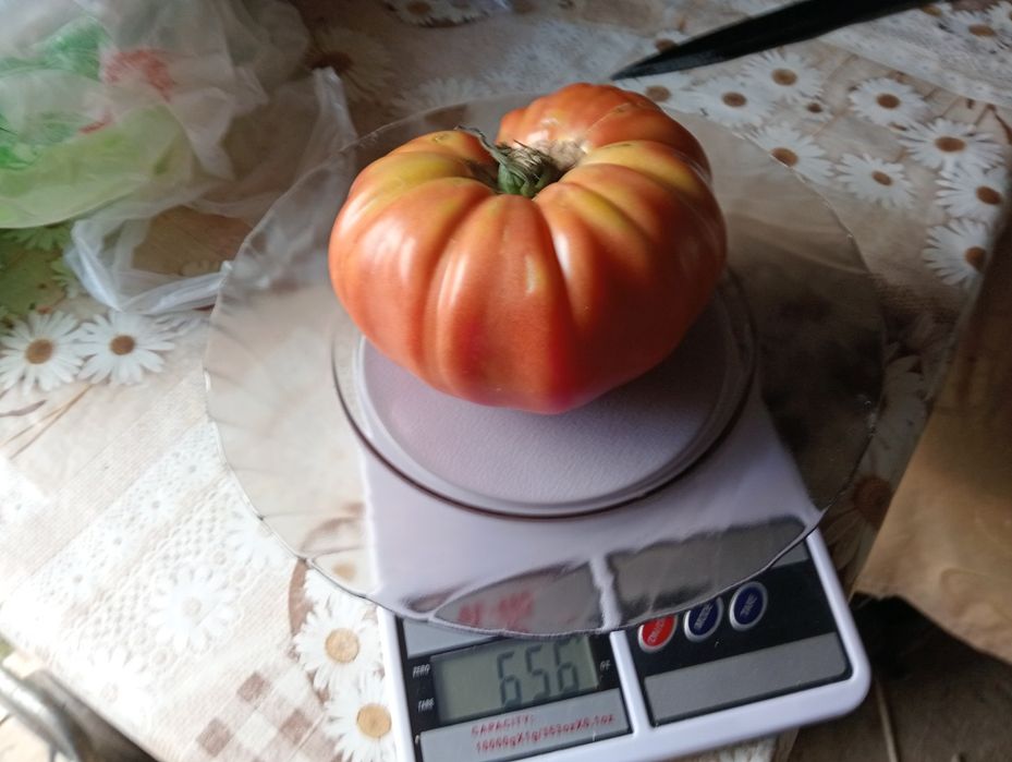 Prestez servicii contra cost
-toaletat pomi
-frezat teren
-produc, vând și plantez răsaduri contra cost
-tau lemne de foc cu