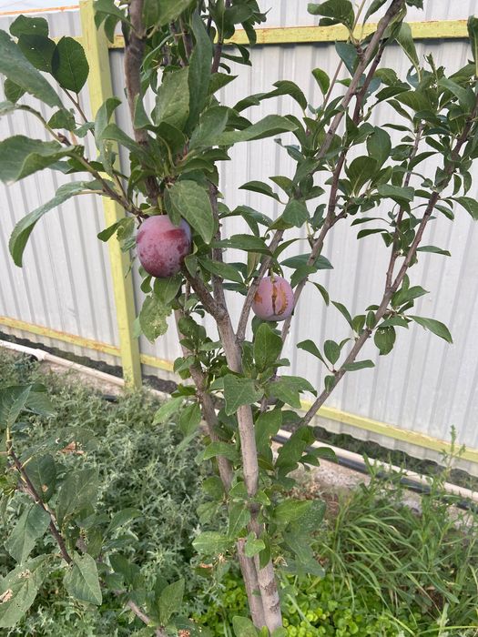 Дом на берегу Урала