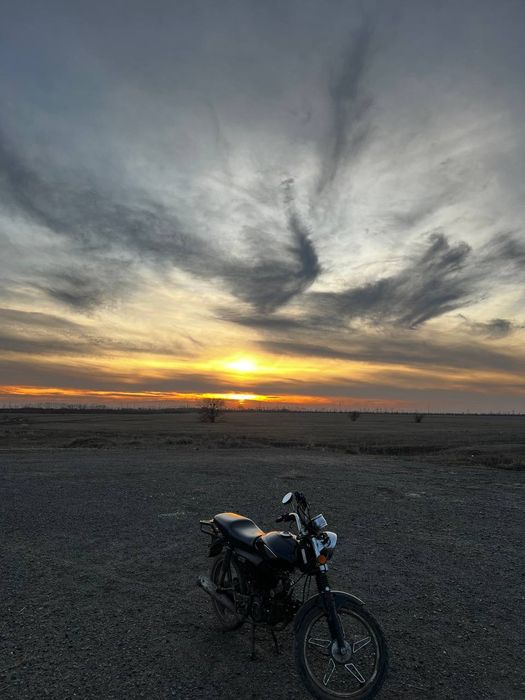 Альфа рейсер 110