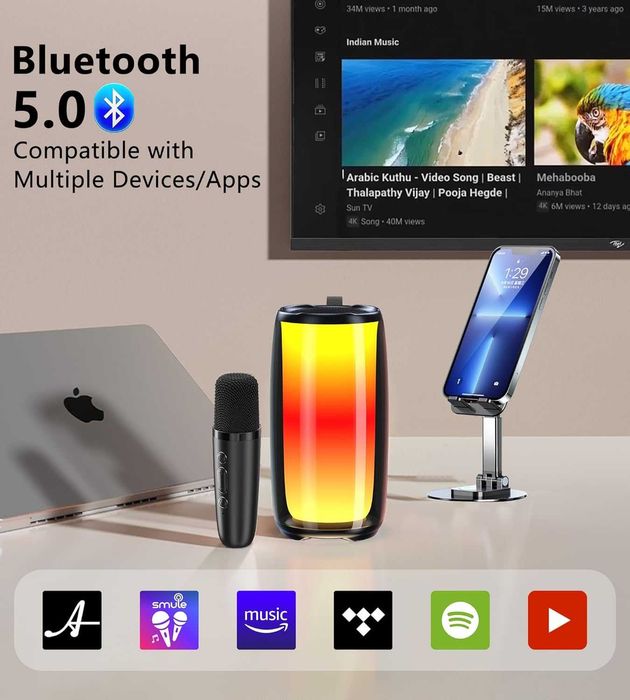 ALPOWL MAIKELU Професионално караоке, караоке 2 микрофона