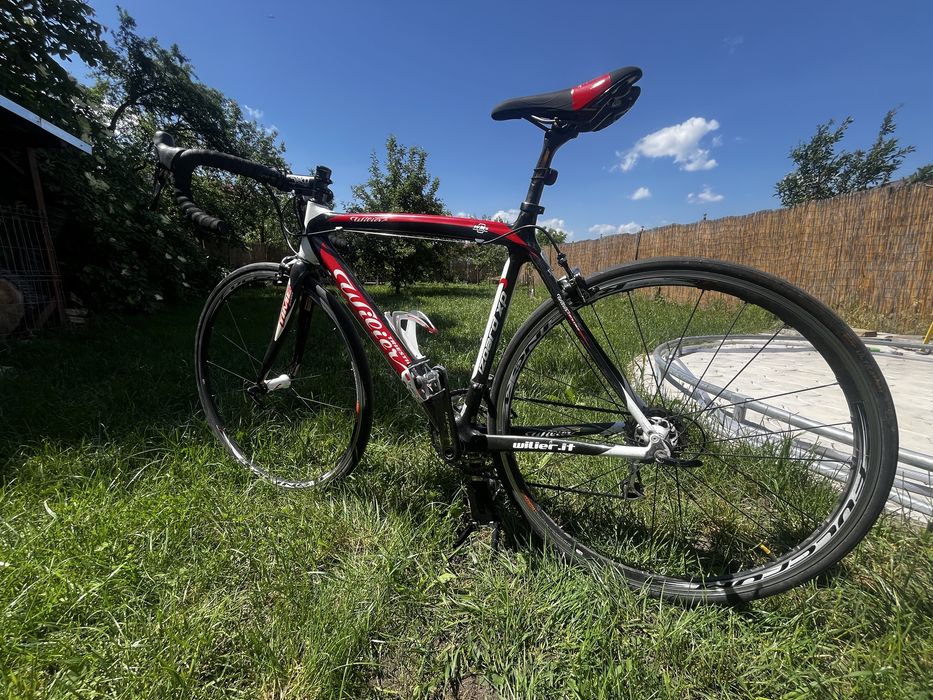 Cursiera Wilier Triestina carbon