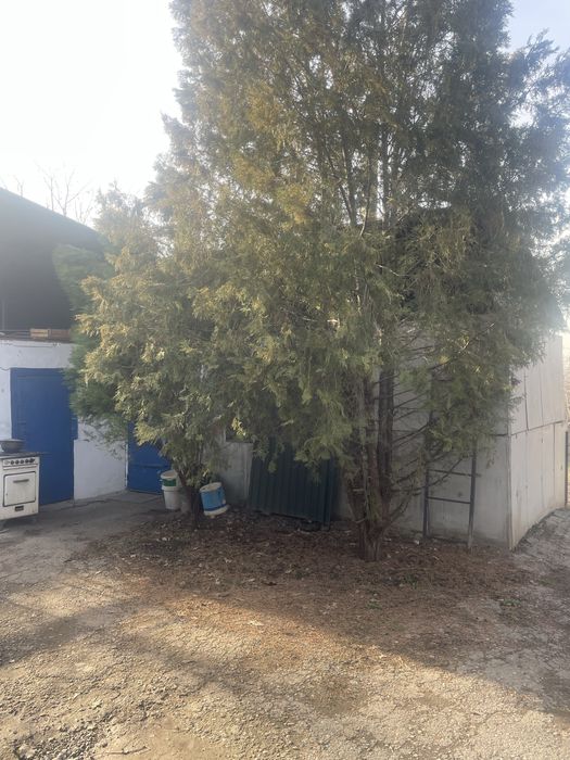 Продаем дом и 15 соток