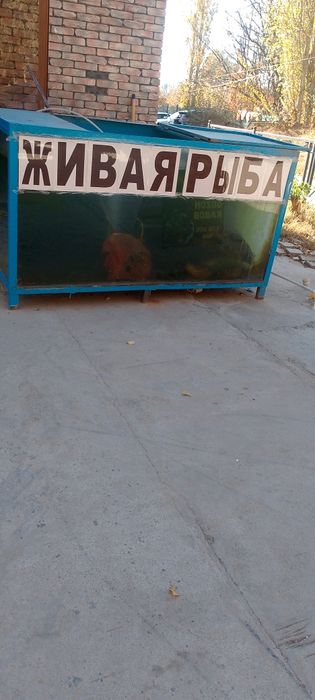 Срочно продается аквариум