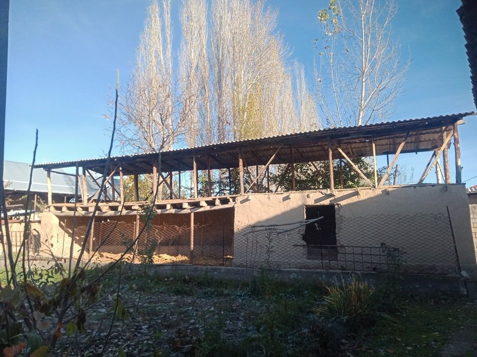 Продается дом - Айдар алы