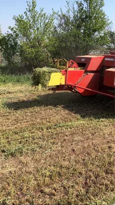 Бали Люцерна 14 лв