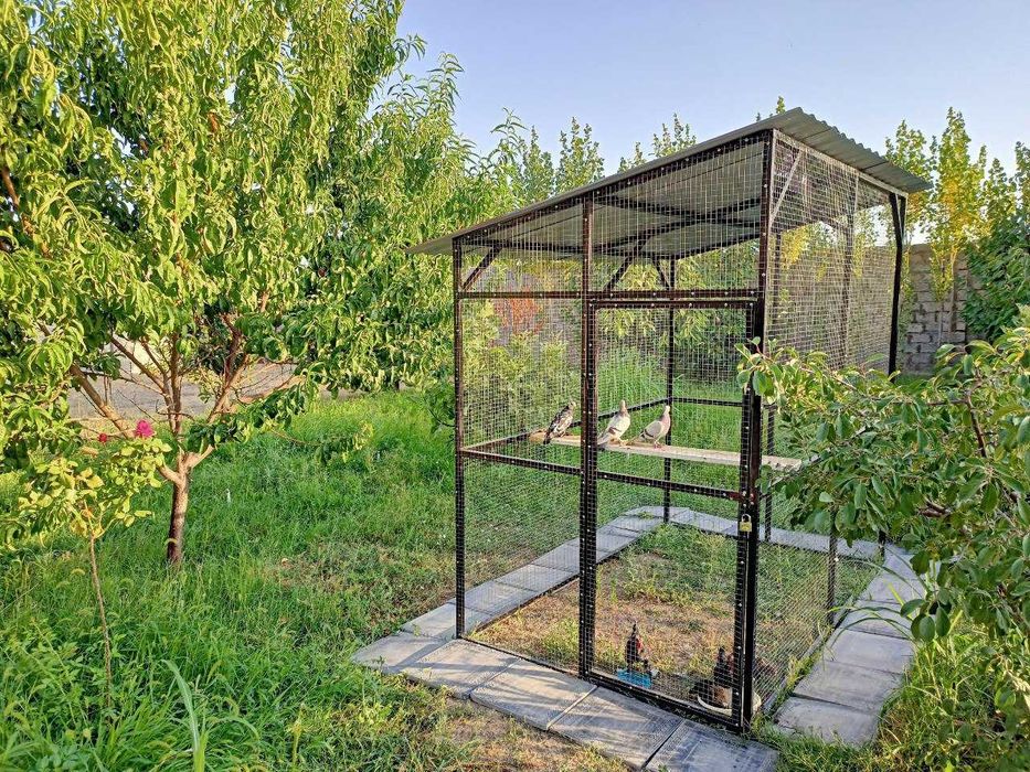 Дача Dacha без посредников только семейным