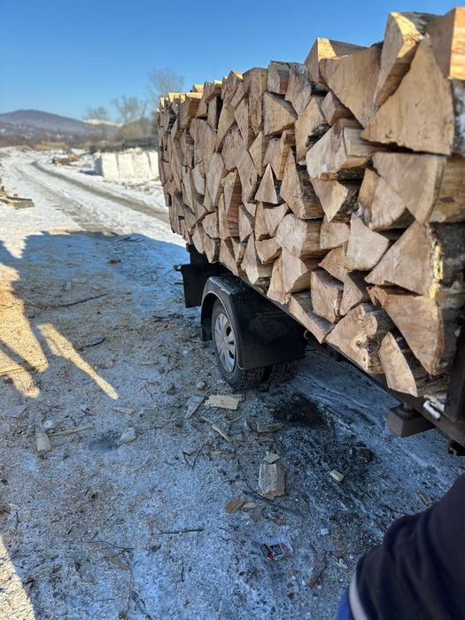 De vînzare lemn de foc de fag.