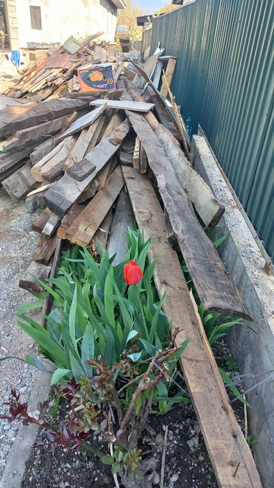 Дерево нормальное