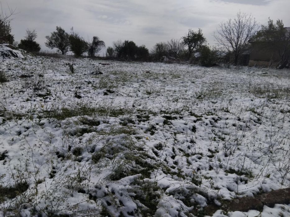 Продава се Парцел в Кубрат - 1100 кв.м за 6 €/кв.м - Снимка #1