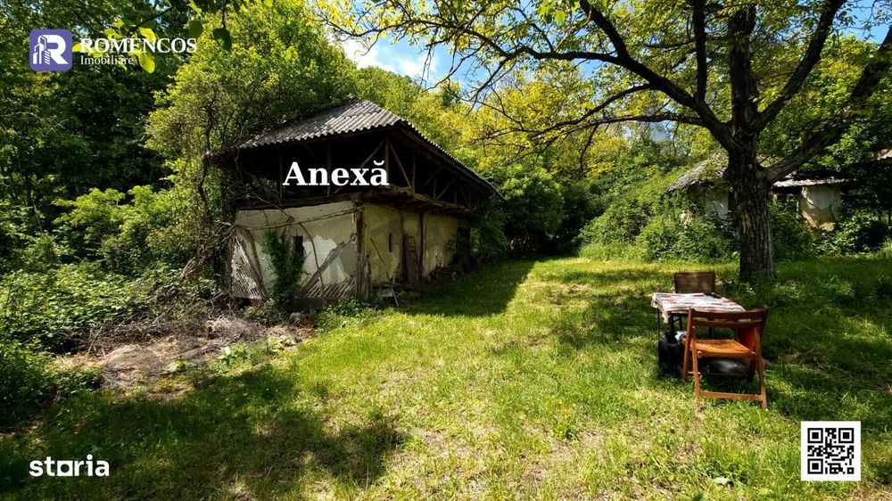 Casa traditionala in Sat Opresti, comuna Stalpeni, Arges