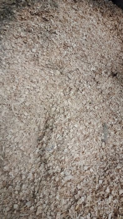 Опилка таза ағаштан.