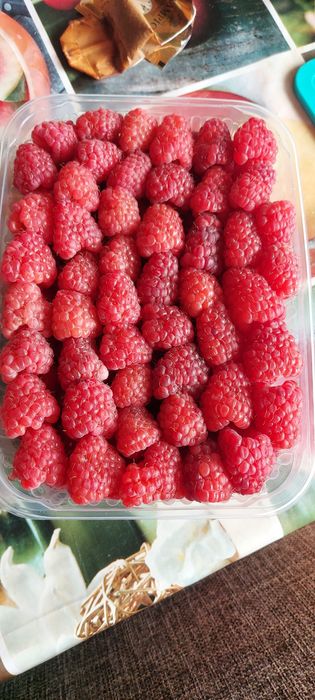 Продам малину свежезамороженную