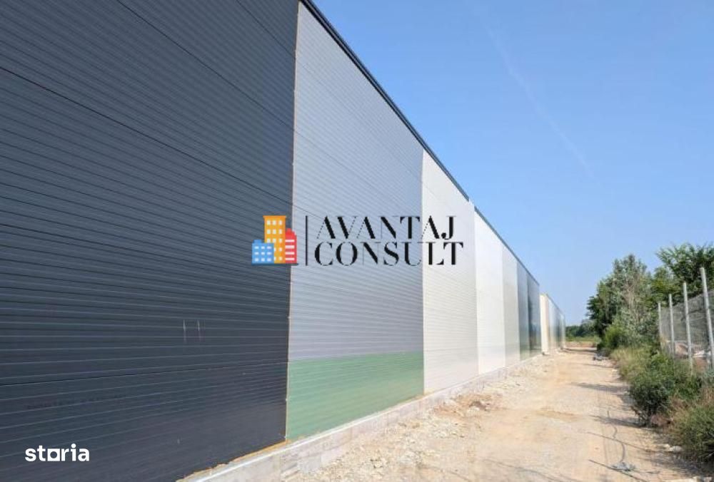Inchirieri Spatii Industriale