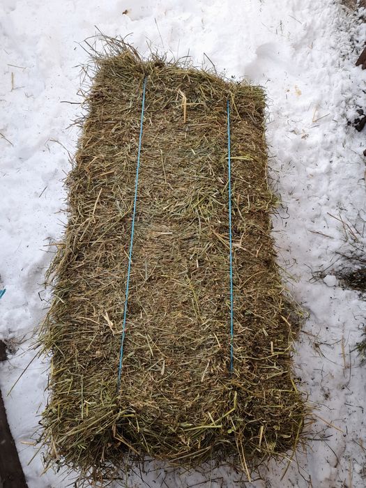 Vând baloti sau schimb cu vițel înțărcat