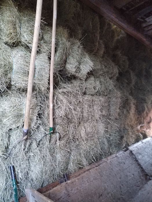 Vand baloti de fan si lucerna