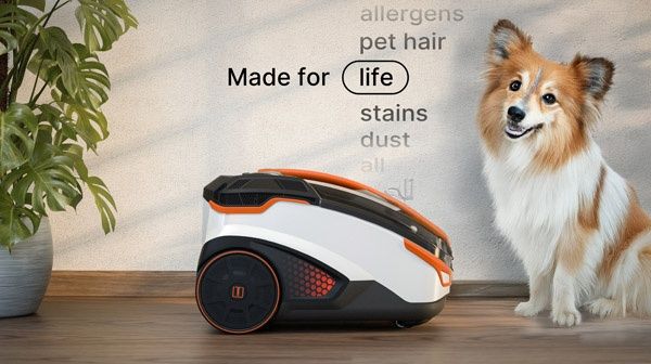 Thomas amfibia pro animal