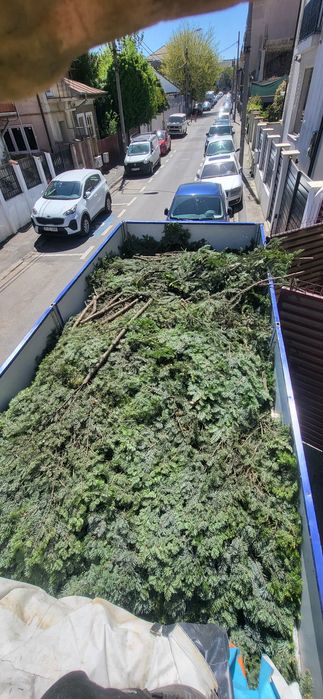 Transport , Mutari Mobilă ,   Debarasări  resturi vegetale etc