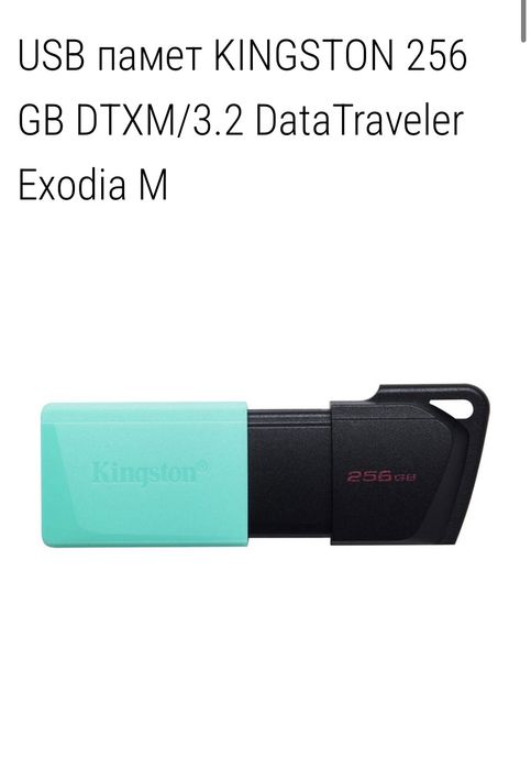 USB kingston 256gb