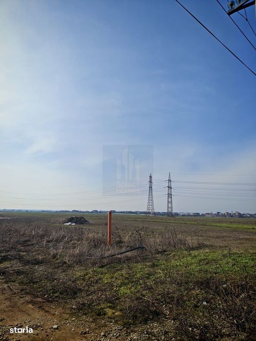 Teren de Vanzare  Caciulati Ilfov