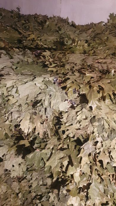 Продам веник березовый