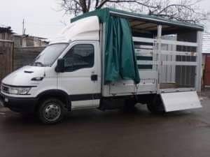 Transport marfa,debarasari bunuri ,mobila mat cont etc