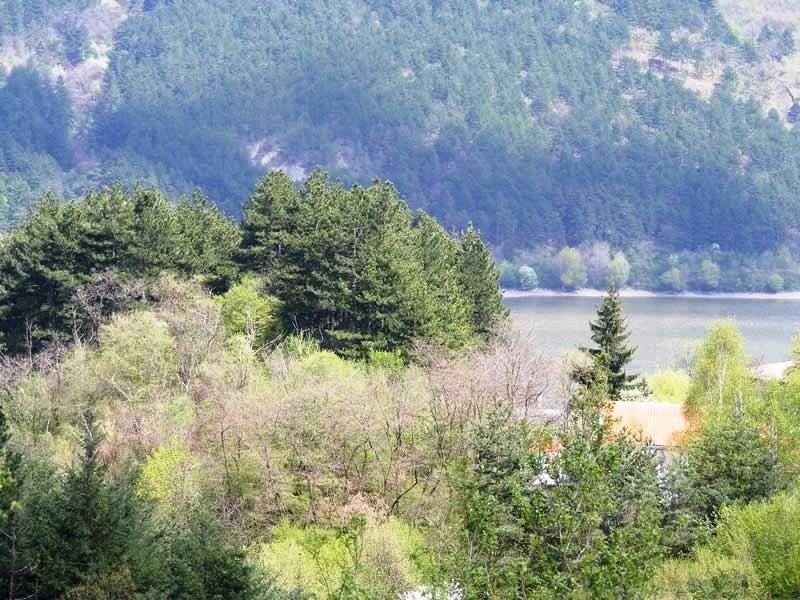 продажам парцел в Панчарево