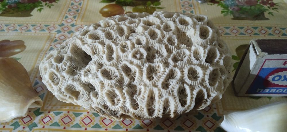 Аксессуар для аквариума цена за всё