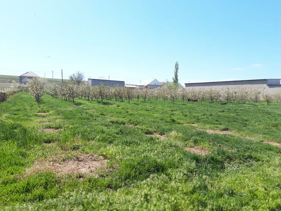 Продается дом в селе Айша-Биби