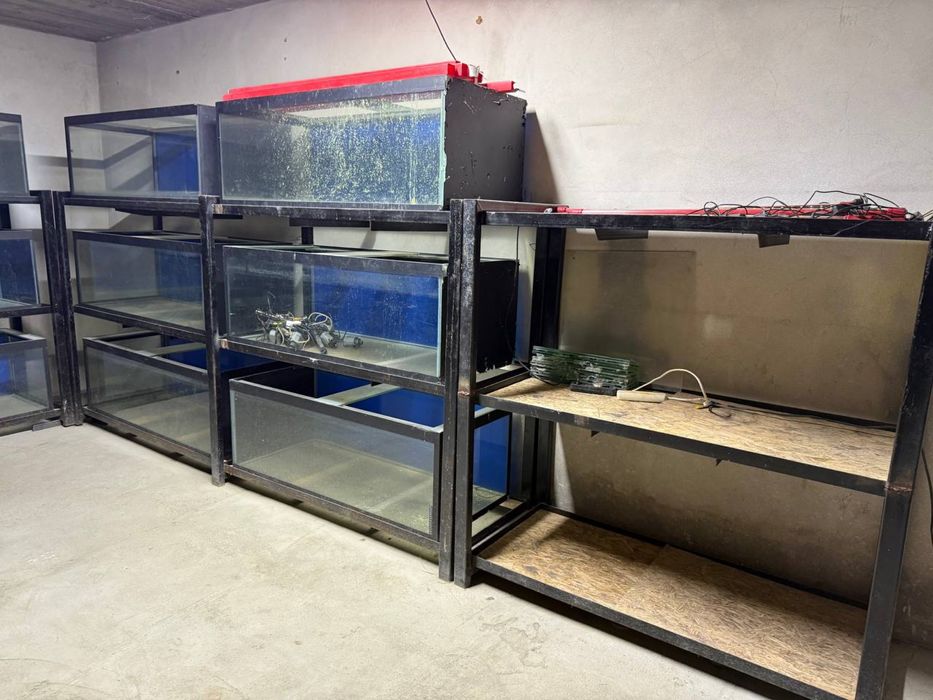 Аквариум и стилажи оптом
