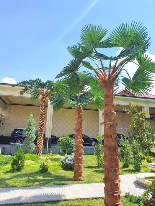 Navoiy | Hovli dizayni uchun suniy palma 3-8m skidka -33%