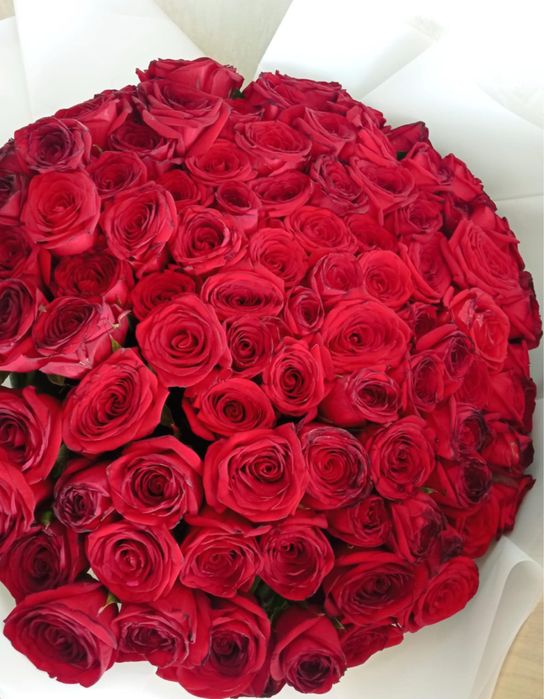 101 роза вчерашния