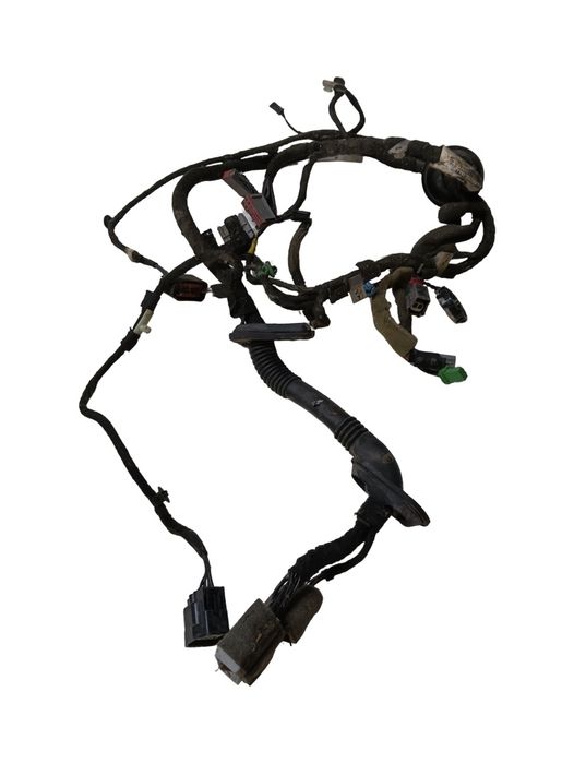 Instalatie Electrica Usa Dreapta Fata Land Rover Range Rover Evoque L