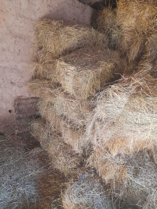 Продавам бали сено