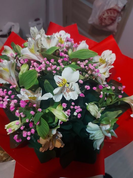 Цветы альстромерия