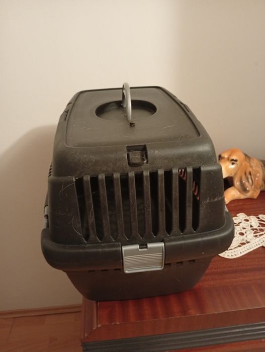 Cusca transport pisici