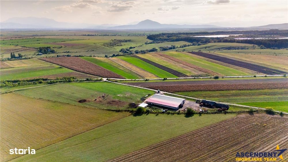 FILM! Zona extinsa, teren mixt,18.000 mp, ideal agro-investitii, Rotba