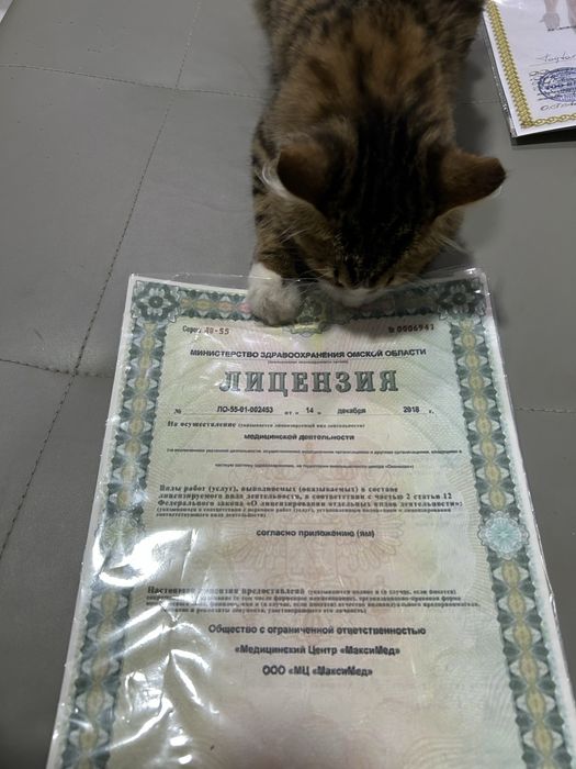 Массаж Астана массаж