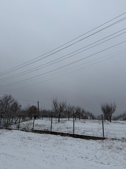 Teren intravilan 5200 mp - zonă superba, brazi și pădure