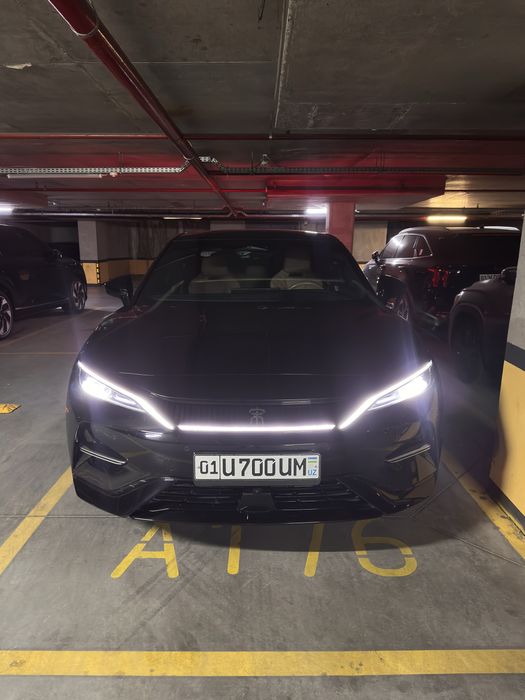 Byd song L 4 poz