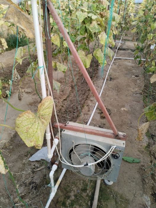 Katyol parnikka, radiator parnikka