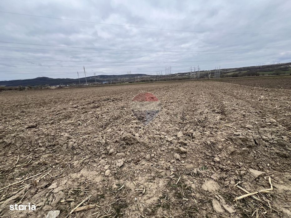 Teren de Vânzare 2.800 mp Bungard – Șelimbăr | Oportunitate Strategică